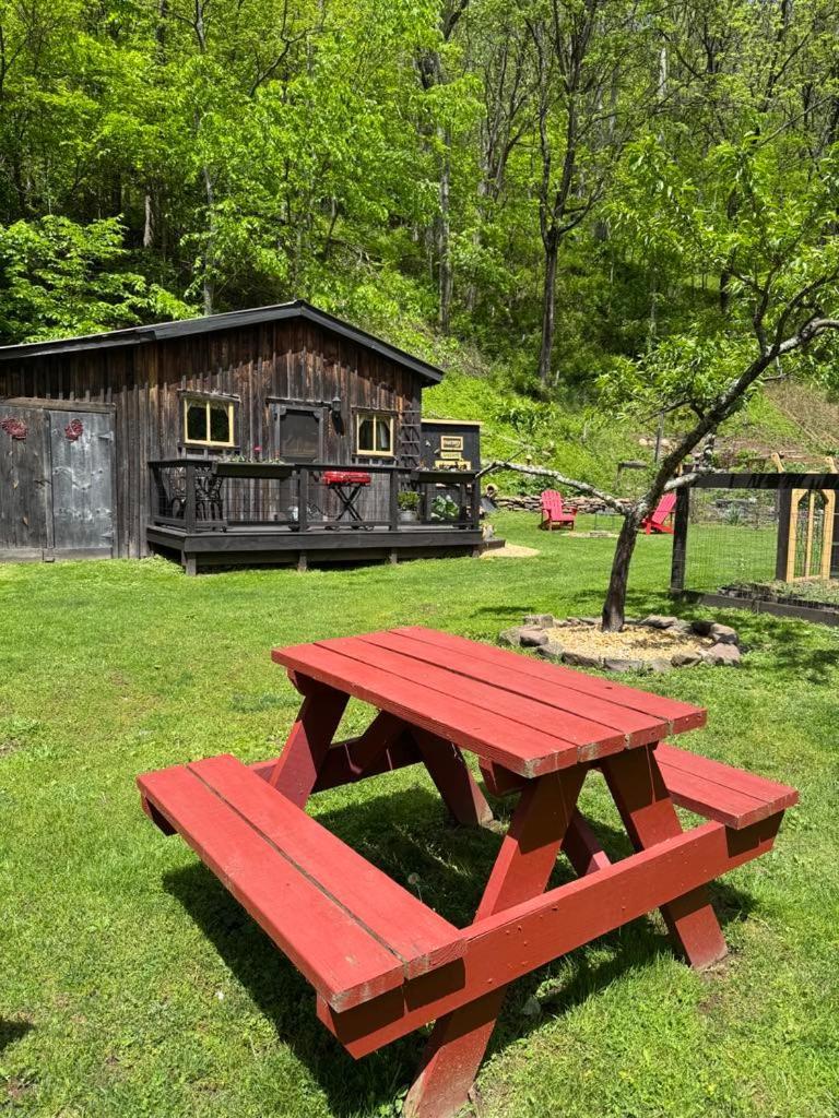 Villa The Renovated Barn At Seneca Rocks Extérieur photo
